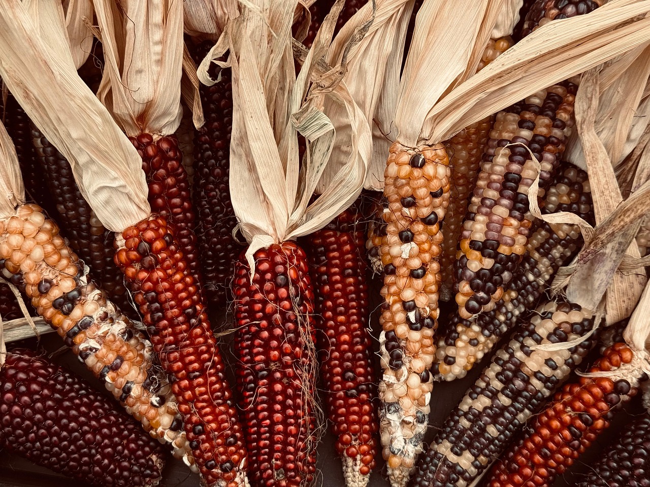 Climate Change May Cut Global Crop Yields Despite Adaptation